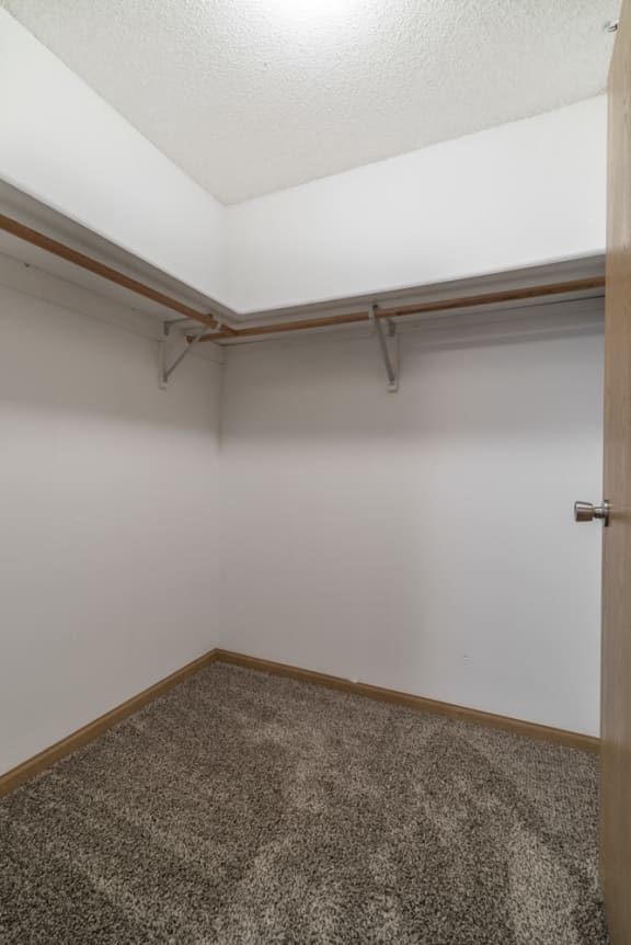 Carpeted walk in closet with shelves and hanging bars in an