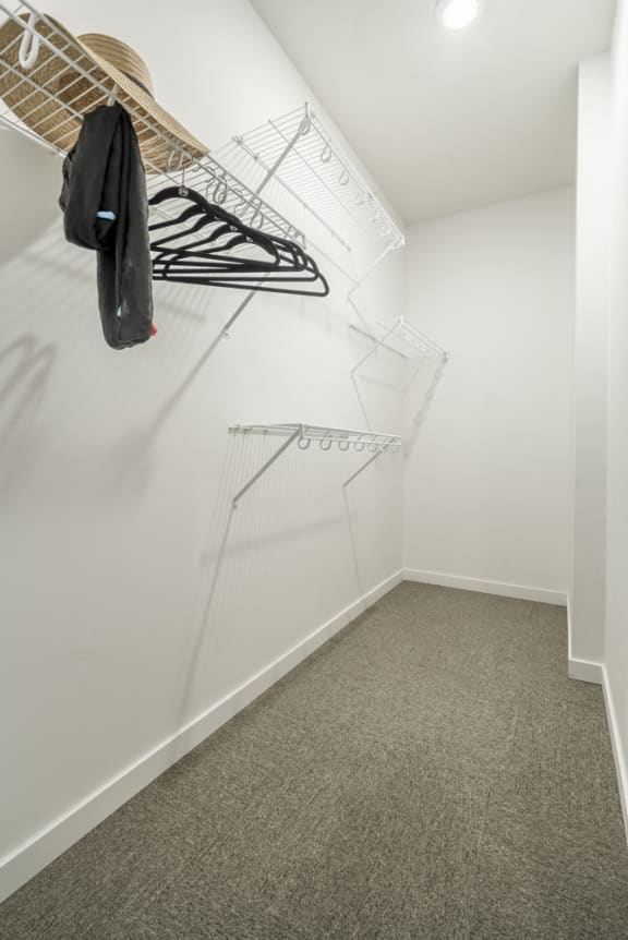Walk in closet with wire shelves for hanging and storing clothes