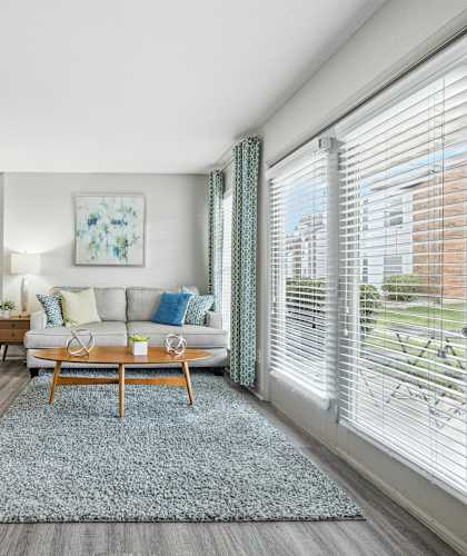 A living room with a couch, chairs, and a rug.
