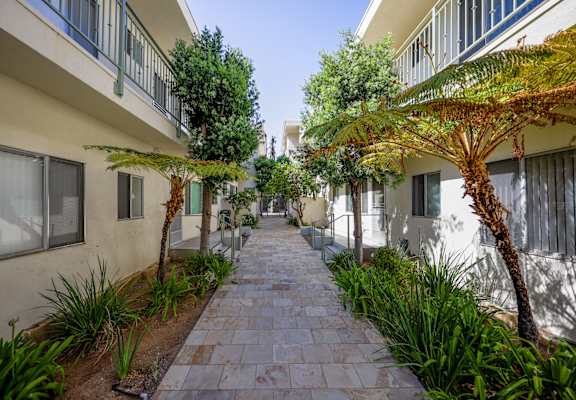 the courtyard between the apartment buildings has a walkway with trees and plants