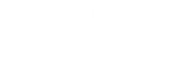 the bingoowitz on camera back logo