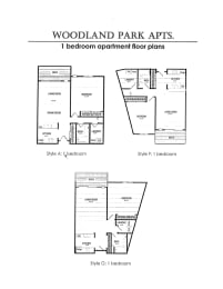  Floor Plan 1 Bedroom 1 bathroom