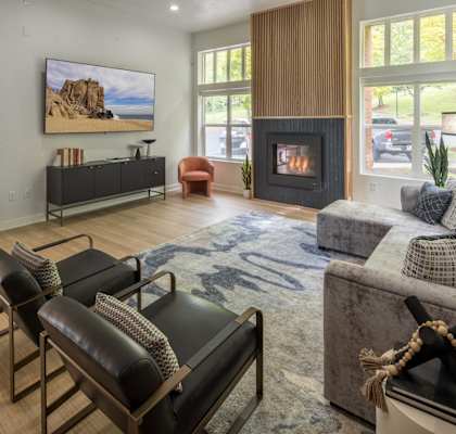 a living room with a couch and chairs and a fireplace