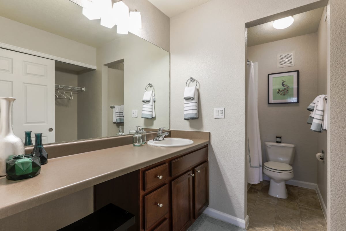 Copper Flats bathroom with mirrored vanity - Aurora, CO
