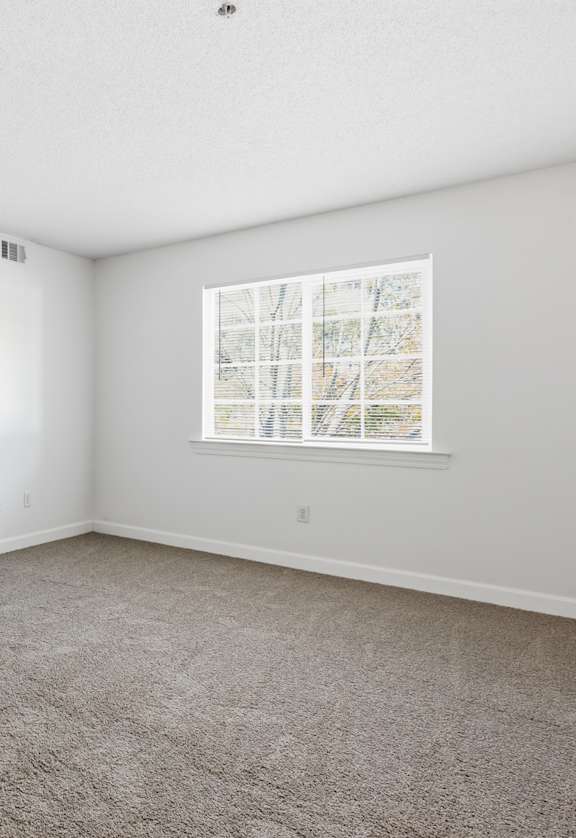 A room with a carpeted floor, a window, and a door.