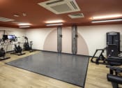 Thumbnail 6 of 8 - a gym with treadmills and other exercise equipment on a rug
