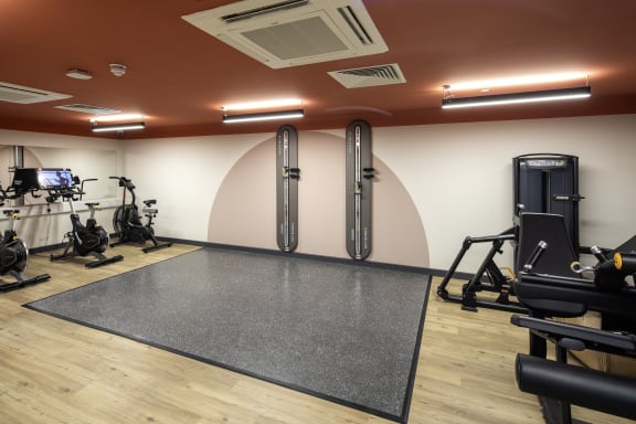 a gym with treadmills and other exercise equipment on a rug