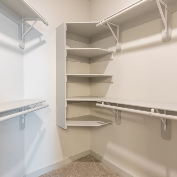 the preserve at ballantyne commons cyber security closet with shelves and racks