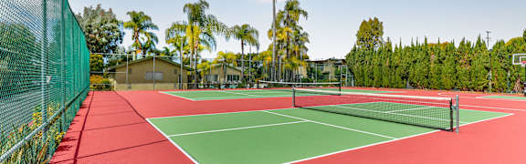 two tennis courts with palm trees in the background on a sunny day