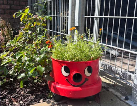 A red planter with a face on it is filled with green plants.
