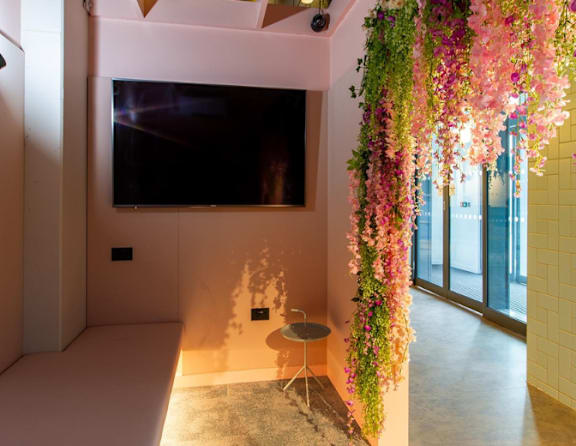 A room with a television and a hanging flower arrangement.