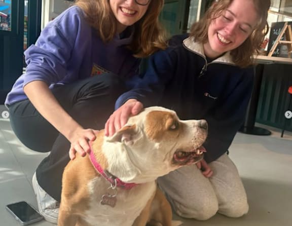 Two people petting a dog.