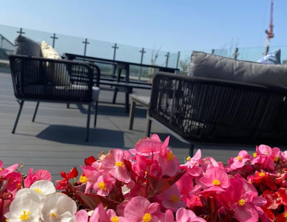 A black chair with a white pillow is on a wooden deck with pink flowers in the foreground.