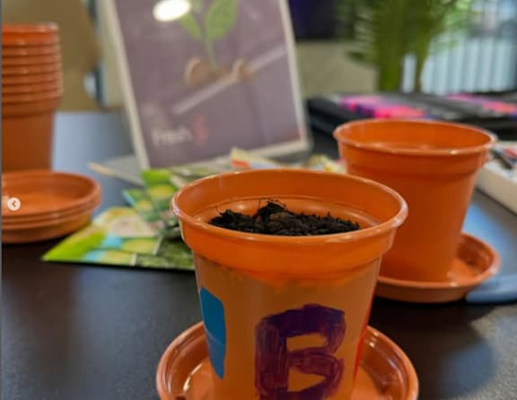 A table with orange cups and a small plant in the background.