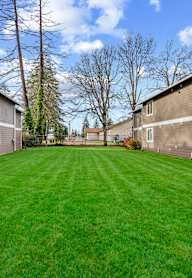 A grassy yard in front of apartment buildings.