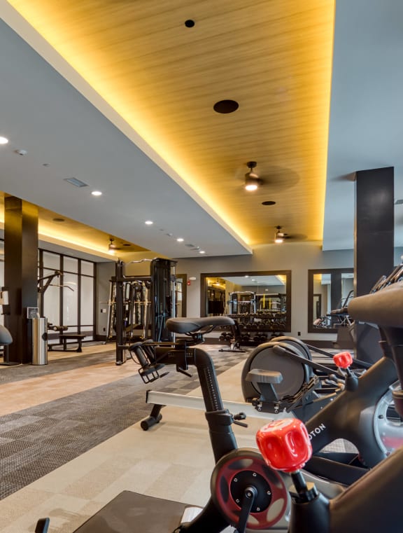 Fitness at Aura Stonebridge, Richmond, 23225