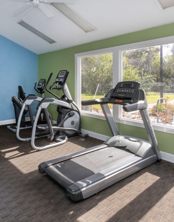 the gym has plenty of cardio equipment and large windows