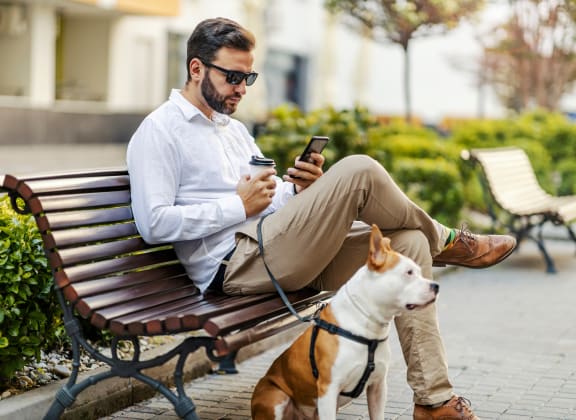 a man sitting on a bench with his dog and looking at his cell phone