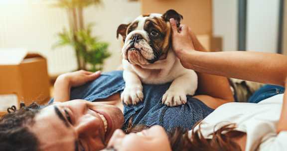Pet Friendly Apartment Community at Reflections at the Wharf, District of Columbia