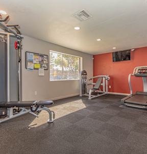A gym with a variety of equipment including a treadmill, a leg press machine, and a squat rack.