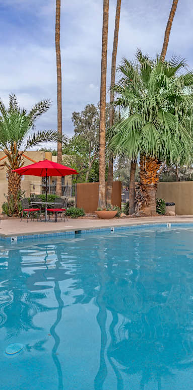 A large swimming pool surrounded by palm trees and red umbrellas.