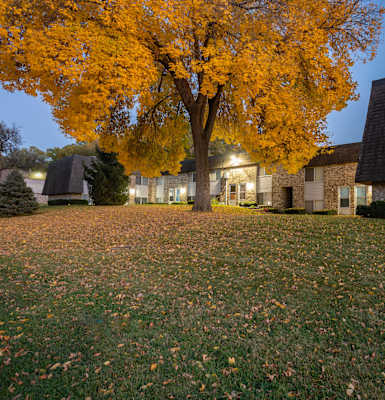 A tree with yellow leaves is in front of a house.