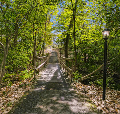 a path through the woods with a bridge and trees at Silvertree, Westerville, OH
