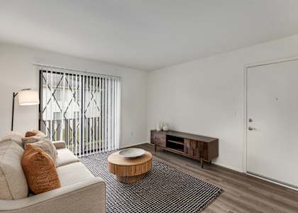 A living room with a couch, a coffee table, and a television.