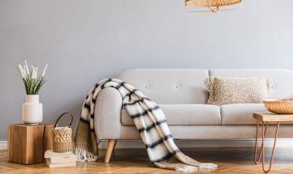 A cozy living room with a couch, a plant, and a basket.