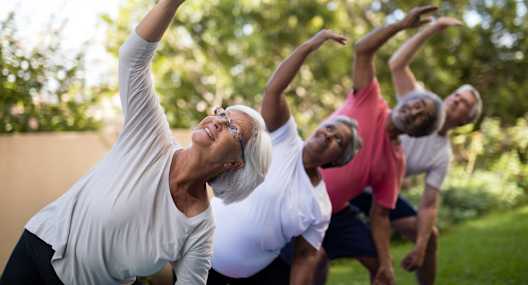A group of seniors doing stretching exercises outdoors.