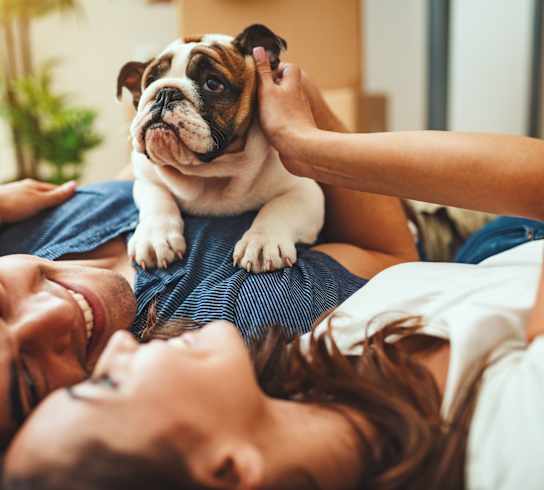 A person is lying down with a dog on their shoulder.