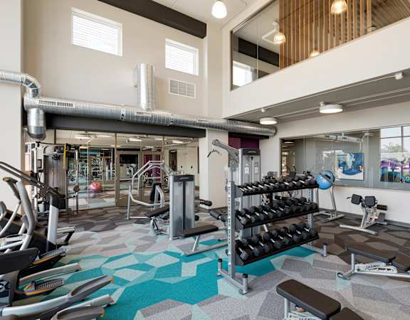 A gym with a variety of equipment including treadmills, weights, and benches.
