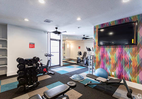 A gym with a row of dumbbells and exercise equipment.
