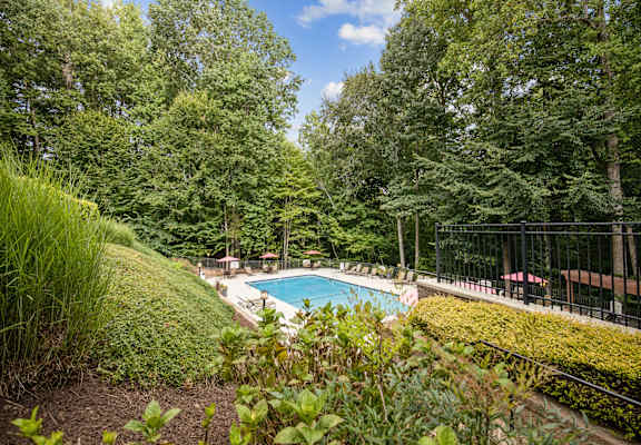 a swimming pool with trees in the background