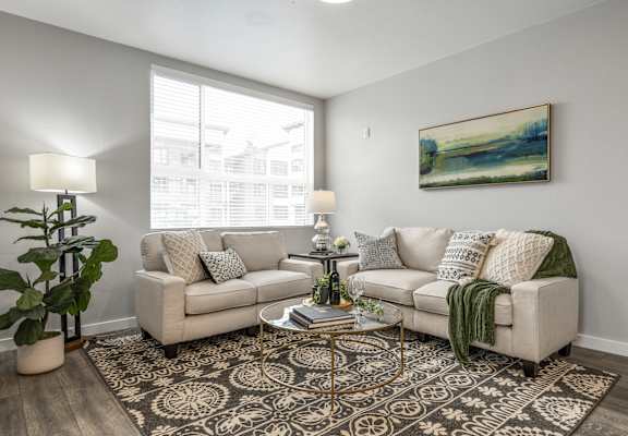 a living room with gray walls and a large rug