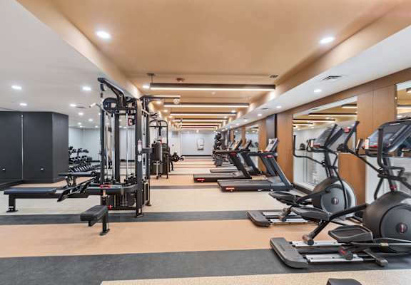 A gym with treadmills, elliptical machines, and a bench press.