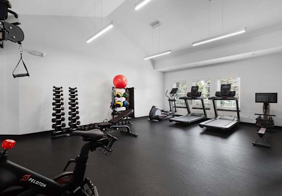 A gym with a variety of exercise equipment including a stationary bike, rowing machine, and treadmills.