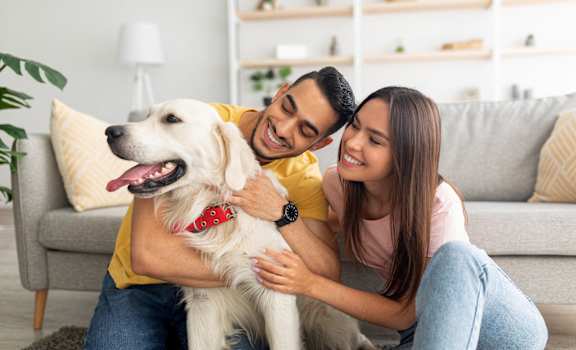 a man and woman sitting on a couch with a dog