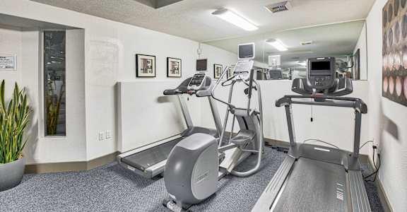 A gym with treadmills and elliptical machines.