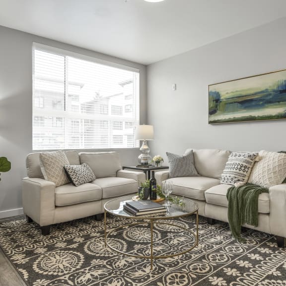 a living room with gray walls and a large rug