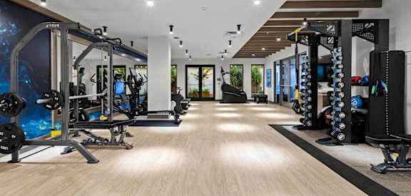 a spacious fitness room with a large number of exercise equipment and a blue mural on the wall