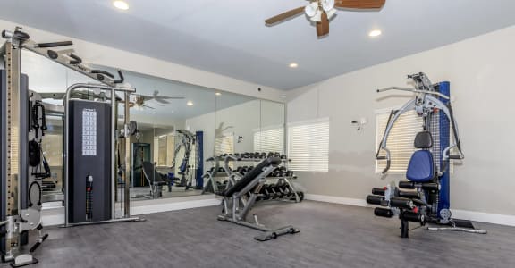 the gym at the preserve at green valley townhomes