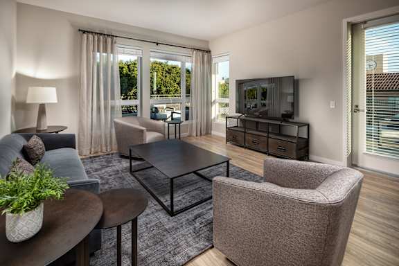 A living room with a grey couch, a black coffee table, a grey armchair, a television, and a potted plant.