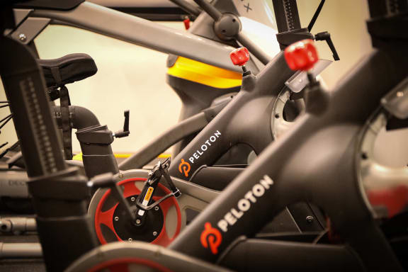 a group of bikes parked in a row