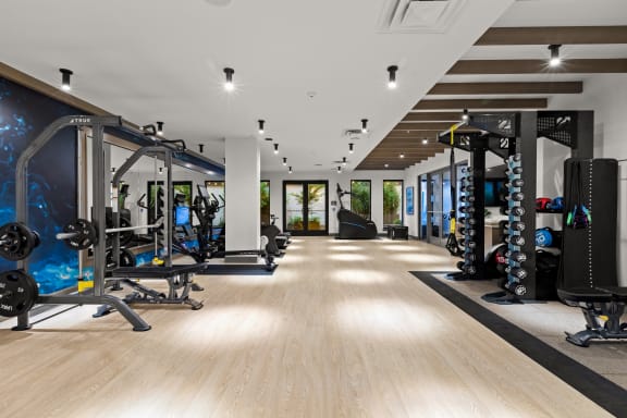a spacious fitness room with a large number of exercise equipment and a blue mural on the wall