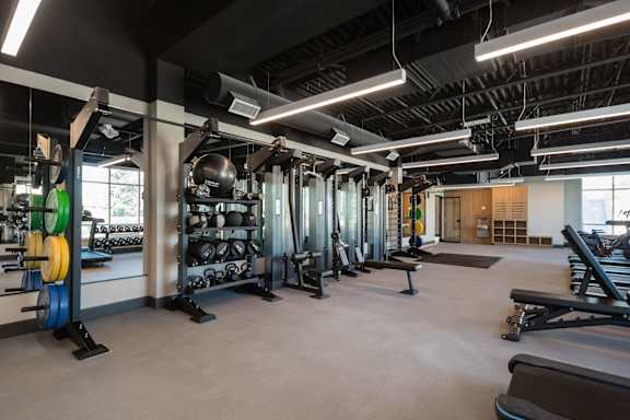 a fitness room with weights and cardio machines and a large window