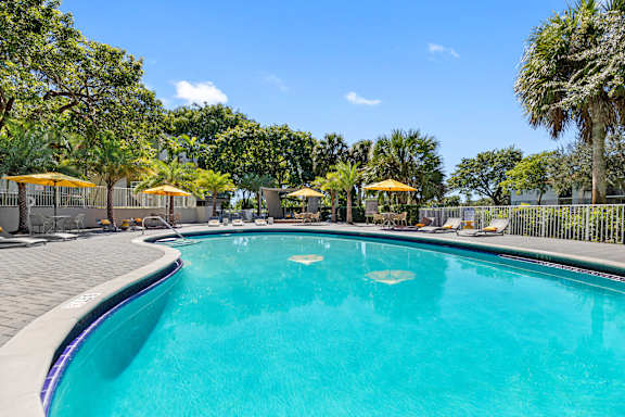 A large swimming pool surrounded by trees and umbrellas.