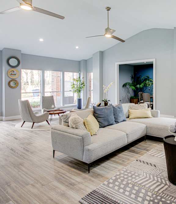 A living room with a grey sofa and a wooden floor.