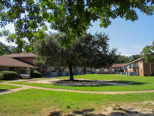 A tree in a grassy area in front of apartment buildings.