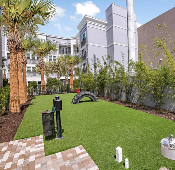 Fenced Pet Park at The Foundry NoHo Luxury Apartments in Tampa FL